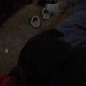 Meet your Posher, Cole